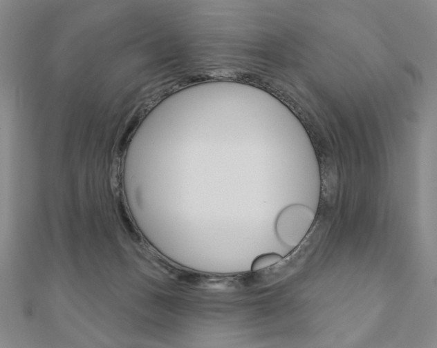 X0000110880175200906180952