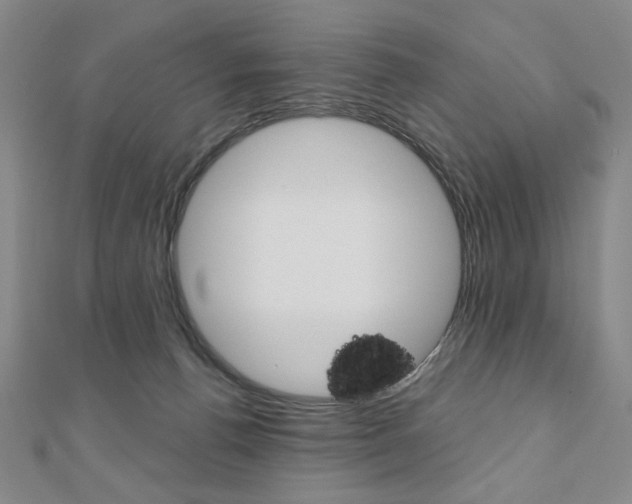 X0000110880176200906180952