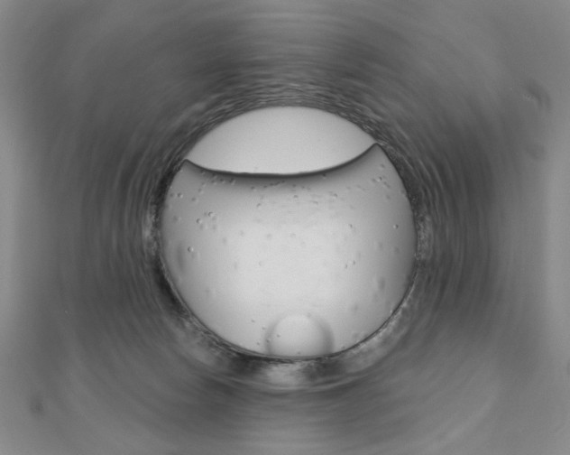 X0000110880178200906180952