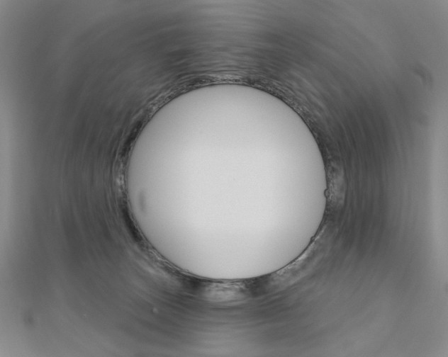 X0000110880179200906180952