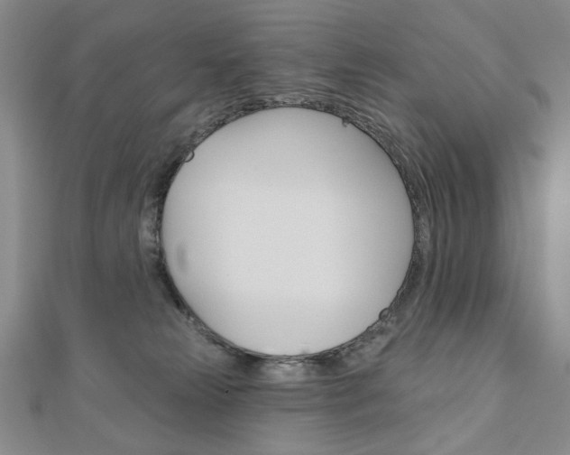 X0000110880181200906180952