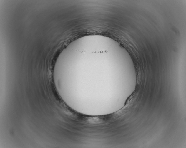 X0000110880183200906180952
