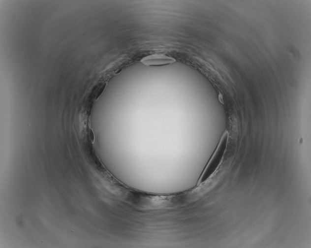 X0000110880184200906180952