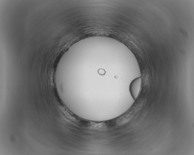 X0000110880185200906180952