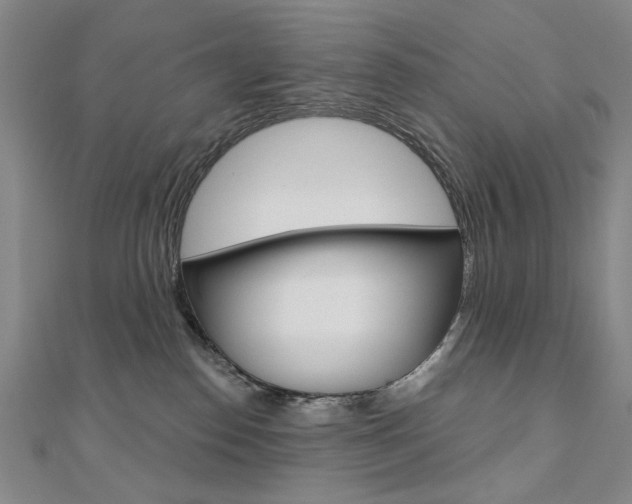 X0000110880186200906180952