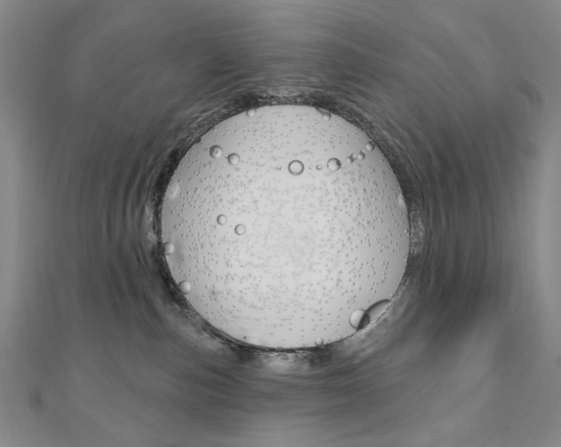 X0000110880187200906180952
