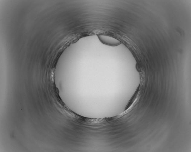 X0000110880191200906180953