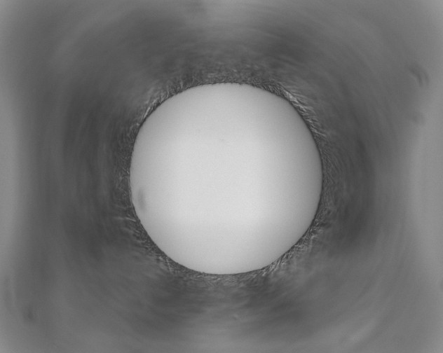 X0000110880192200906180953