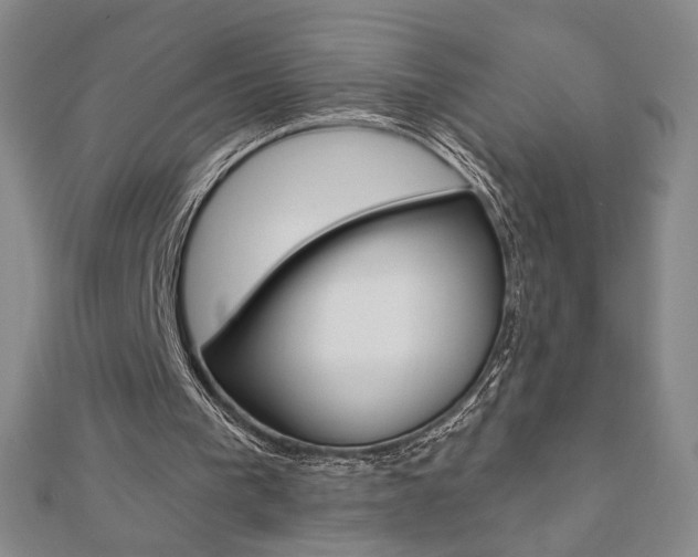 X0000110880193200906180952
