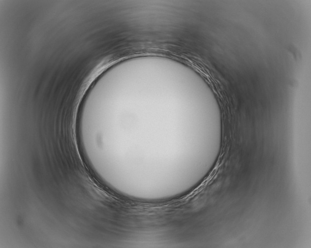 X0000110880195200906180952