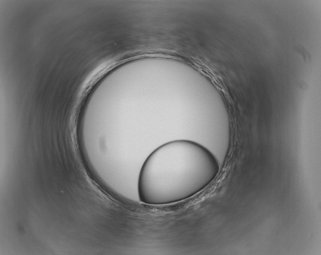 X0000110880197200906180952