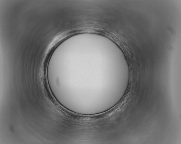 X0000110880198200906180952