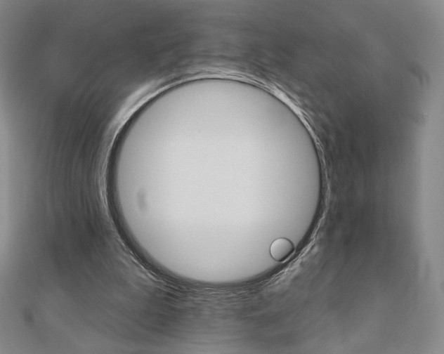 X0000110880199200906180952