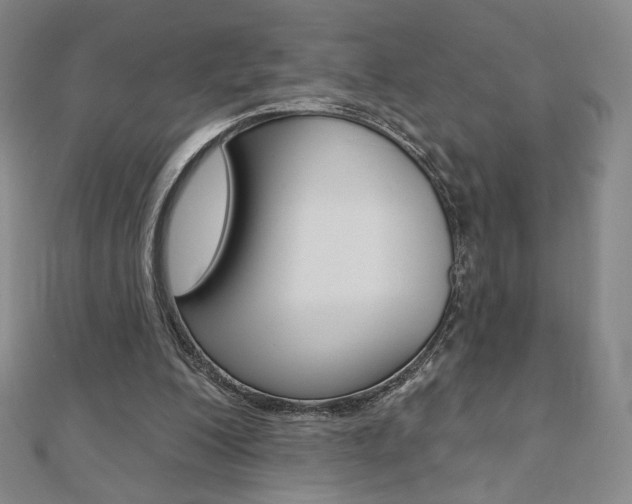 X0000110880200200906180952