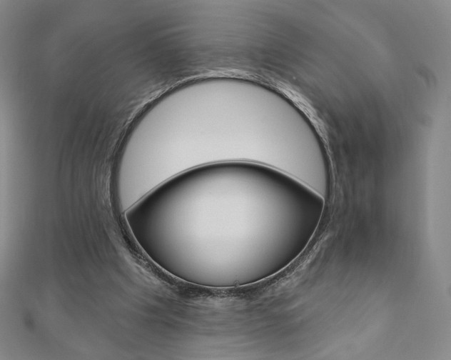 X0000110880201200906180952