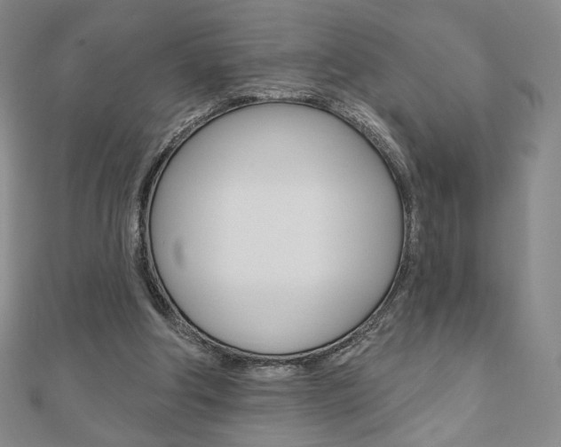 X0000110880202200906180952