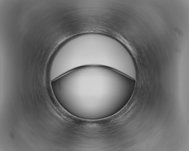 X0000110880203200906180952