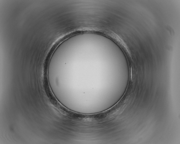 X0000110880204200906180952