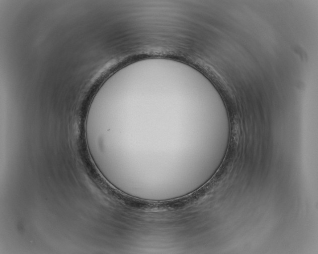 X0000110880208200906180952