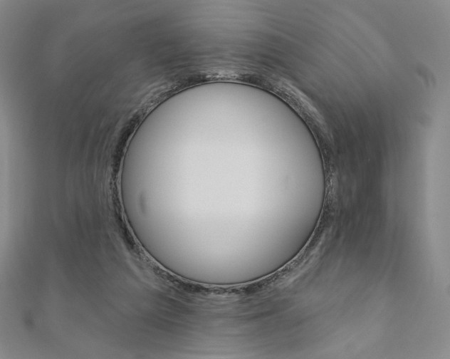 X0000110880209200906180952