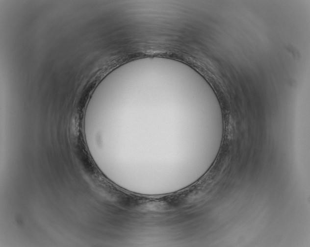X0000110880210200906180952