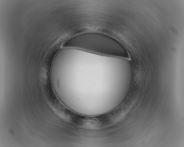 X0000110880215200906180951
