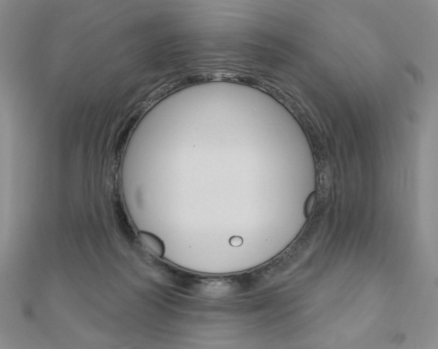 X0000110880218200906180951