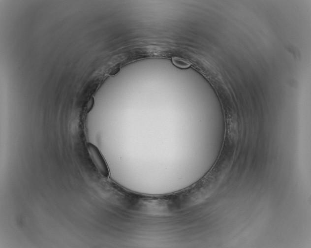 X0000110880221200906180951