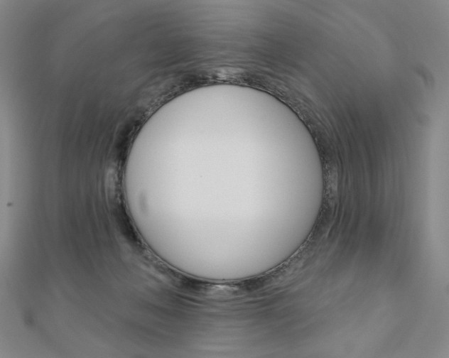 X0000110880222200906180951