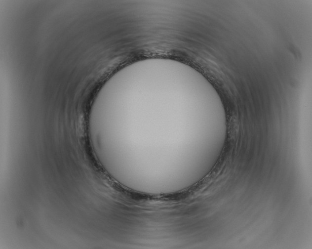 X0000110880224200906180951