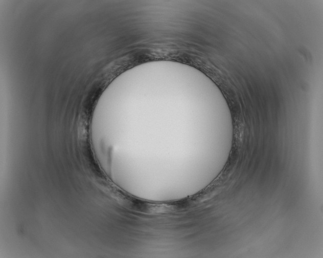 X0000110880226200906180951