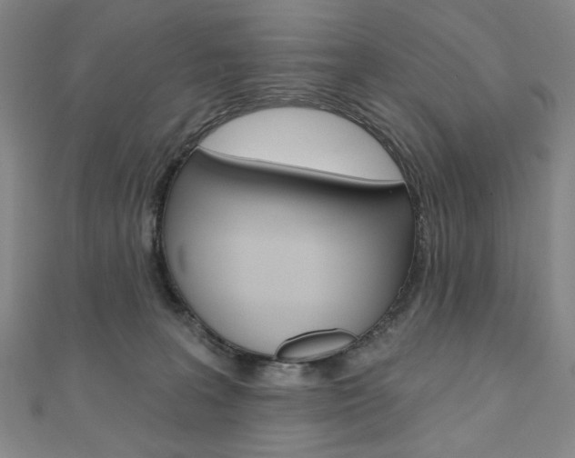 X0000110880227200906180951