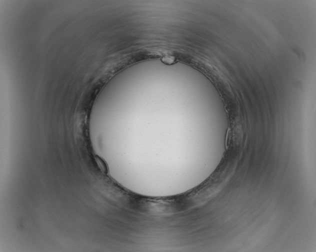 X0000110880229200906180951