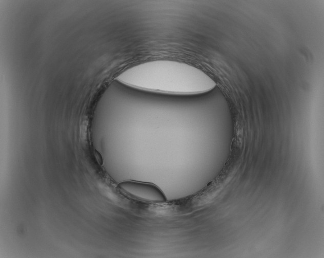 X0000110880231200906180951