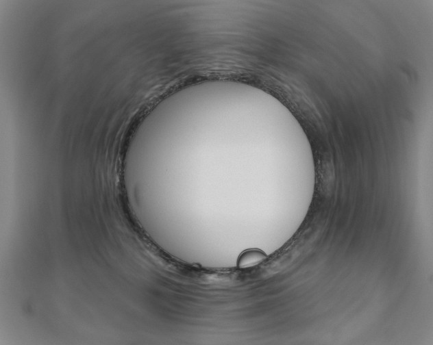 X0000110880232200906180951