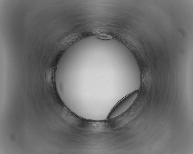 X0000110880233200906180951