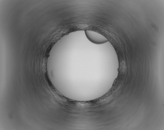 X0000110880234200906180951