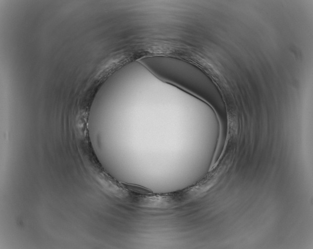 X0000110880237200906180951