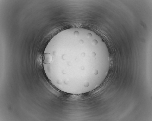 X0000110880238200906180951