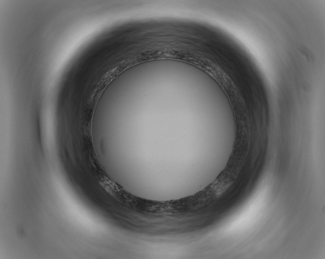 X0000110880239200906180951