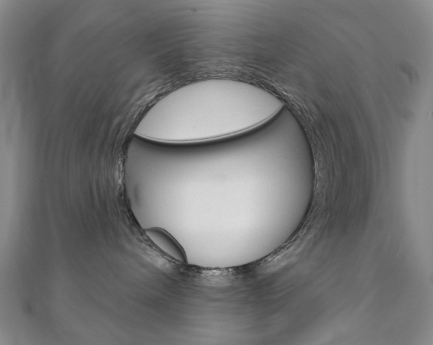 X0000110880240200906180951