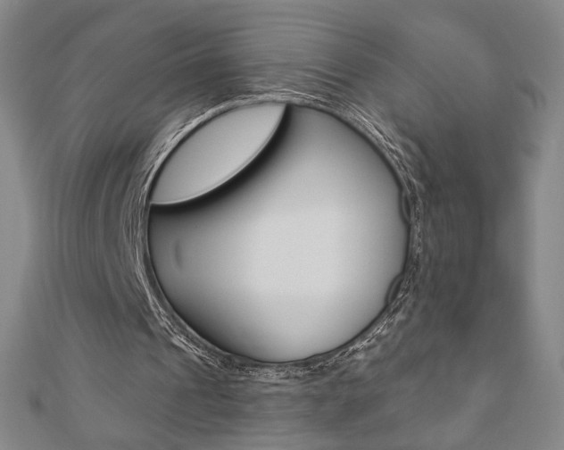 X0000110880241200906180951