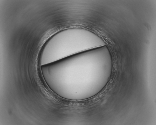 X0000110880242200906180951