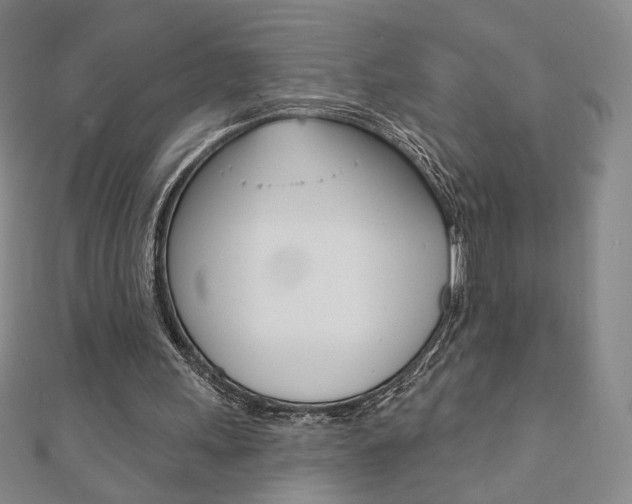 X0000110880243200906180951