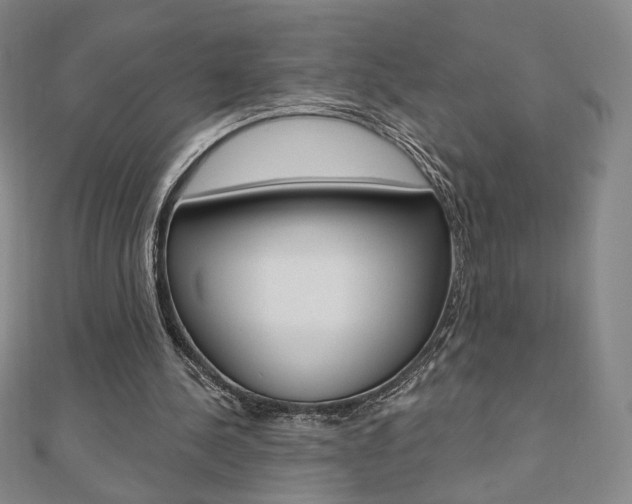 X0000110880244200906180951