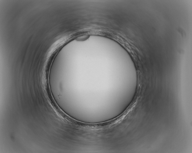 X0000110880245200906180951