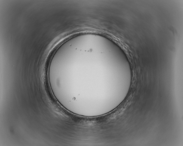 X0000110880247200906180951