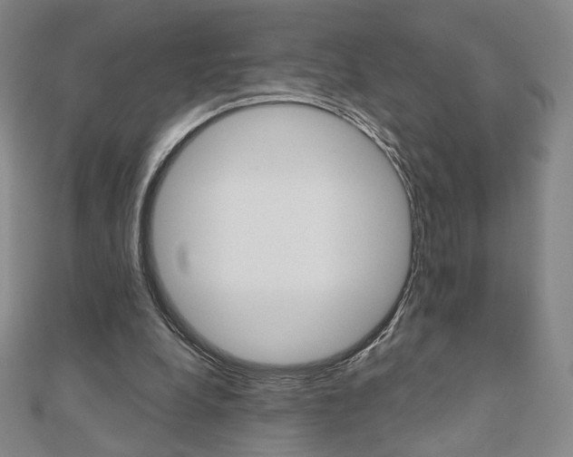 X0000110880248200906180951