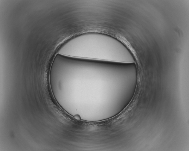 X0000110880249200906180951