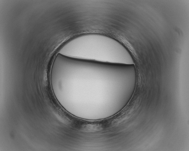 X0000110880251200906180951